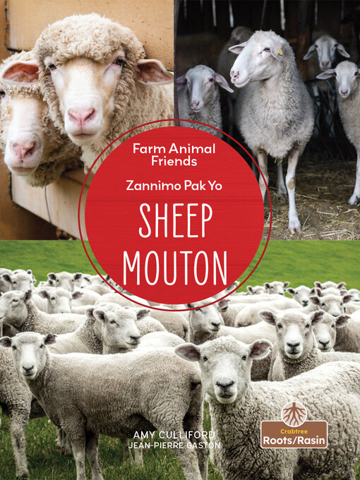 Title details for Sheep / Mouton by Amy Culliford - Available